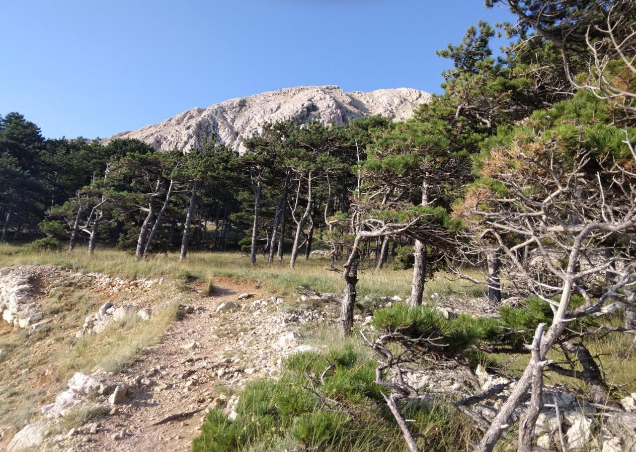 Apartmani Baska S Pogledom Na More Exteriör bild
